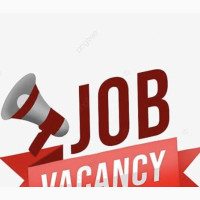 Sales Boy / Sales Assistant