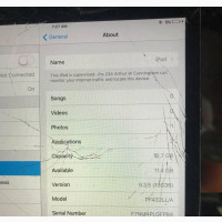Apple iPad mini Wi-Fi 16 GB Gray
