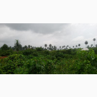 Land for Sale. Nwaniba