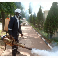 Industrial Odorless Fumigation