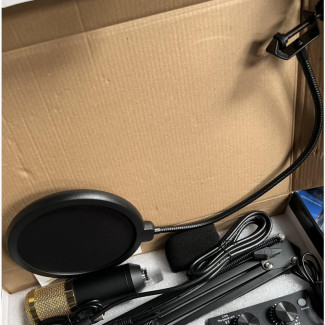 Professional Condenser Microphone