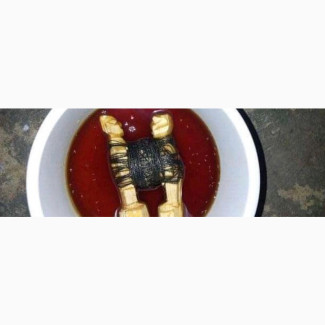 The most spiritual powerful herbalist in Nigeria+2349059208421
