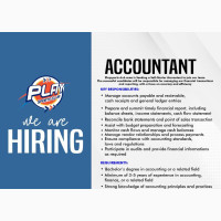 Financial Accountant Role
