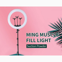 12 Inches Ringlight