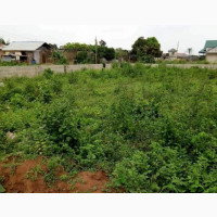Land In Ikorodu
