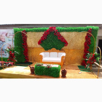 Event Planners Anambra State