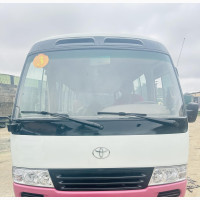 Toyota Coaster 2013 Pink