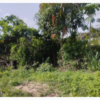 Acres of Land in Cannan Brook Estate Iba Oloja Ibeju Lekki