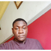 Telecommunications Specialist