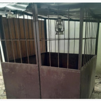 Extra Large Iron Dog Cage for Adult Dogs