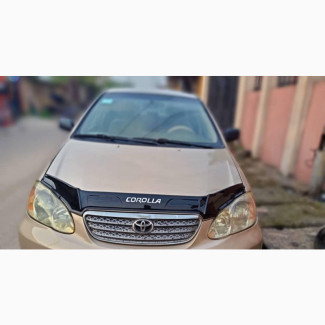 Toyota Corolla LE 2007 Brown