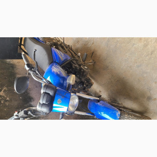 Autodex 2022 Blue