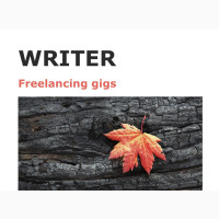 Content Writer (Freelancer)