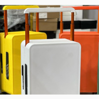 Luxury Elegant Luggage