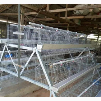 Galvanized Battery Cages for Sale - Refurbished and Reliable