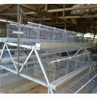 Galvanized Battery Cages for Sale - Refurbished and Reliable