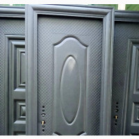 Normal Security Door