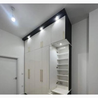 Adexsh Standard High Gloss Wardrobe Design