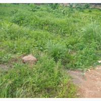 2500sqm Mixed-Use Land with Lagos C of O