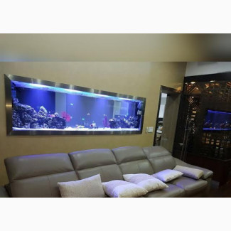 Wall Aquarium Well Designed