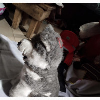 Decorative Toy Cub