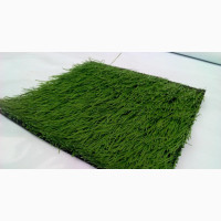 Distributor Of Turf Football Grass
