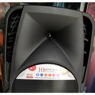 Public Address System MLG Products 15 Inches, 3500wtts