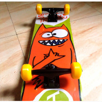 Professional Adult Skateboard - Brand New