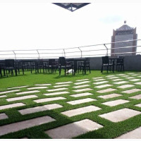 1st Grade Synthetic Grass