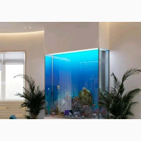 Exquisite Half Wall Aquarium - Brand New