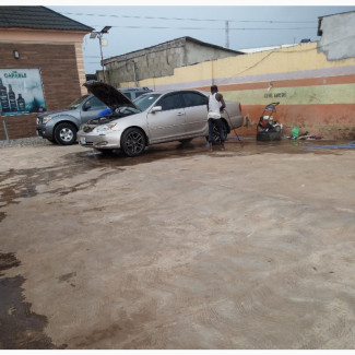 Professional Carwasher Available