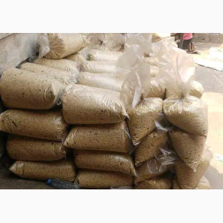 Dog Mixed Indomie and Rice Available for Sale