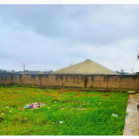A Plot of Land Now Available