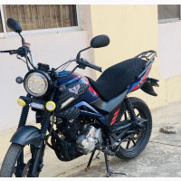 Qlink XP 200 2021 Blue