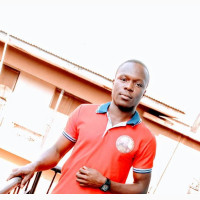 Professional Graphics Designer and Illustrator