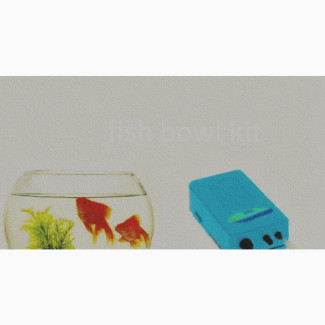 10 Liters Fishbowl Kit With 2 Goldfish and Battery Airpump