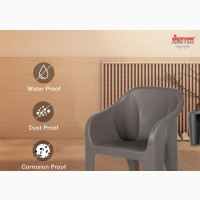 Elephant Plastic Chair