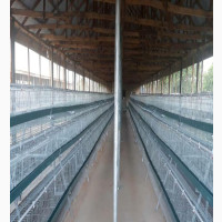 Imported Cage Available Now At Rotim#039;s Farm Enterprises