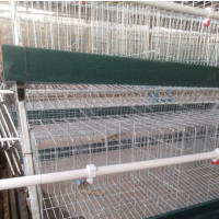 Imported Cage Available Now At Rotim#039;s Farm Enterprises