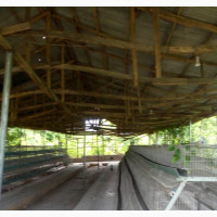Imported Cage Available Now At Rotim#039;s Farm Enterprises