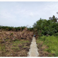 2 Acres of Land Behind Amen Estate (1)