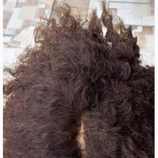 Hair Reving