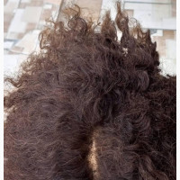 Hair Reving