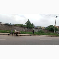 Land in Amuwo Odofin for Lease - Commercial Land