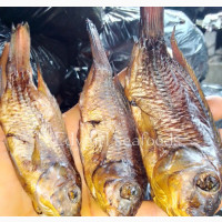 Small Sizes Tilapia Fish