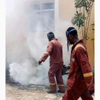 House and Compound Fumigation in Ajah - Junebug Pest Control
