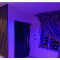 Blue Glass Swing Door - Brand New