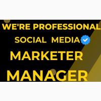 I Will Be Your Social Media Manager