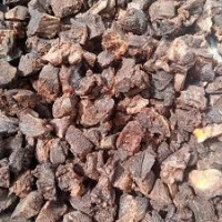 10pc of Tinko Meat
