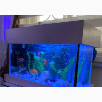 Aquarium 24*18*9inch
